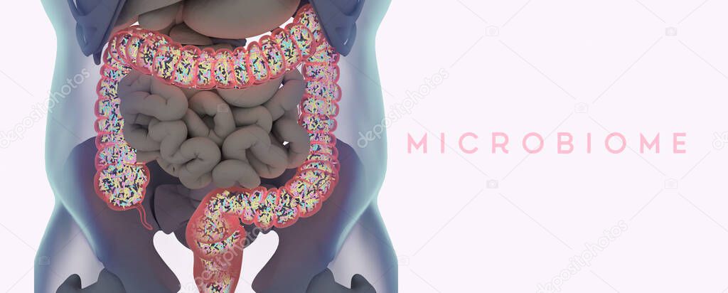 Human microbiome large intestine filled with bacteria. Title: 