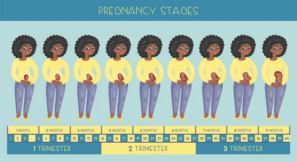 Douce Femme Afro Américaine Enceinte Les Étapes Grossesse Développement Embryon — Image vectorielle