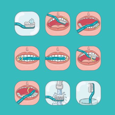 Nasıl dişlerini fırçala. Vektör Infographic şablonu. Düz illüstrasyon.