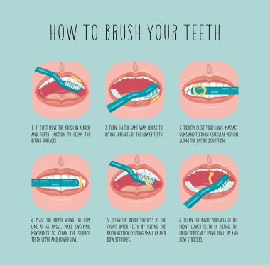 How to brush your teeth. Vector infographic template. Flat illustration.