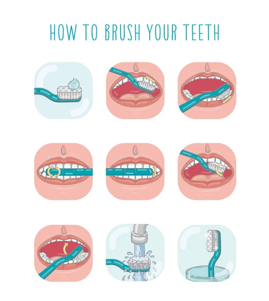 Cómo Cepillarse Los Dientes Plantilla Infografía Vectorial Ilustración Plana — Vector de stock