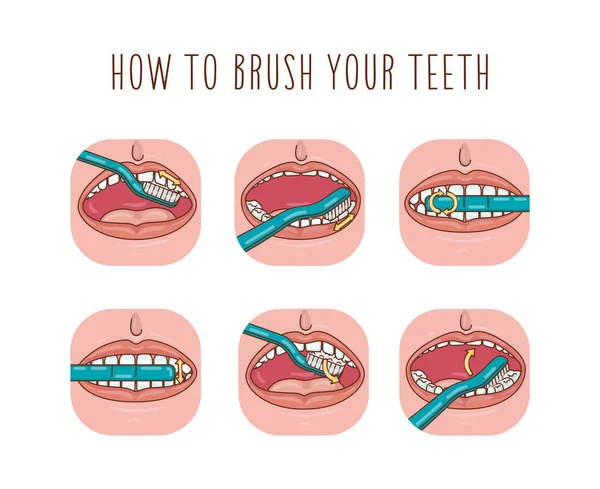 Cómo Cepillarse Los Dientes Plantilla Infografía Vectorial Ilustración Plana — Archivo Imágenes Vectoriales