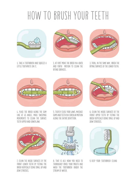 Cómo Cepillarse Los Dientes Plantilla Infografía Vectorial Ilustración Plana — Archivo Imágenes Vectoriales