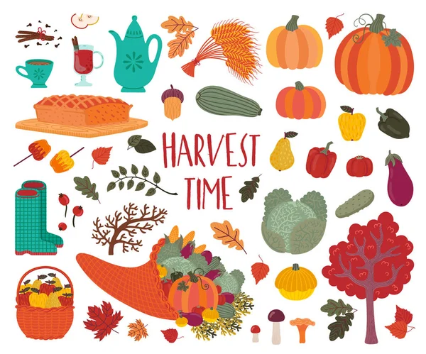 かわいい明るい秋のセット 秋のシーズンの装飾 これらの要素は スクラップブッ キング紙 装飾をテーマにした季節のはがきの収穫祭の装飾に最適 — ストックベクタ