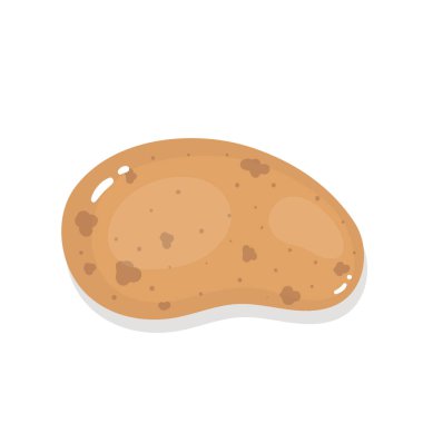 Beyaz bir arka plan üzerinde patates. İzole vektör illlustration