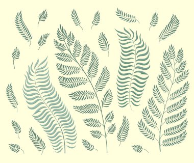 Retro yeşil arka plan üzerinde izole bahçe otlar Vektör seti