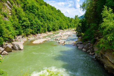 landscape with mountain river running through forest on a summer day. beautiful nature scenery of rapid water stream among with cascades and rocky hills with coniferous trees. ukrainian carpathians