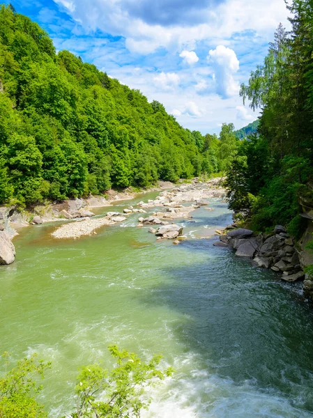 landscape with mountain river running through forest on a summer day. beautiful nature scenery of rapid water stream among with cascades and rocky hills with coniferous trees. ukrainian carpathians