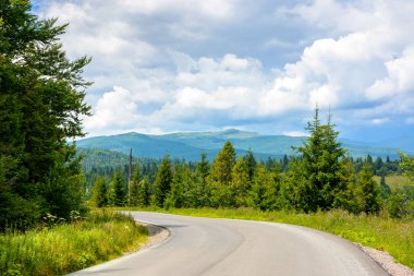 modern alpine road through fir forest. trip to carpathian mountains in summer. lviv region of ukraine