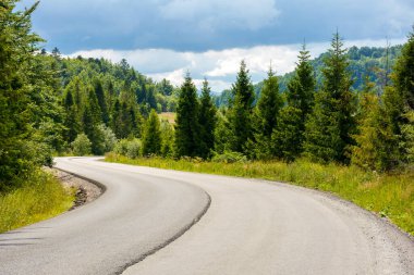 modern alpine road through fir forest. trip to carpathian mountains in summer. lviv region of ukraine