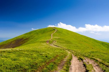 mountain trail to the top of the summit. summer travel landscape under deep blue sky with fluffy clouds. sunny weather. borzhava ridge of transcarpathia, ukraine