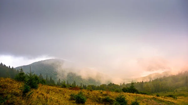 mountain outdoor with overcast morning in autumn. foggy nature background in highlands of ukraine. dramatic weather