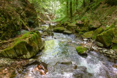 Yazın ağaçlar ve kayalar arasında su akışı olur. Nehir ve taşlarla kaplı orman manzarası. Seyahat için güzel bir arka plan. Karpat ormanlarında yeşil yapraklı açık hava macerası