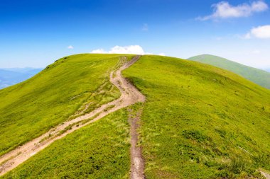 Dağ sırtı manzarası boyunca patika. Ukrayna 'nın yaz yolculuğu geçmişi. Güneşli bir günde çimenli, yuvarlanan tepeli güzel doğa manzarası