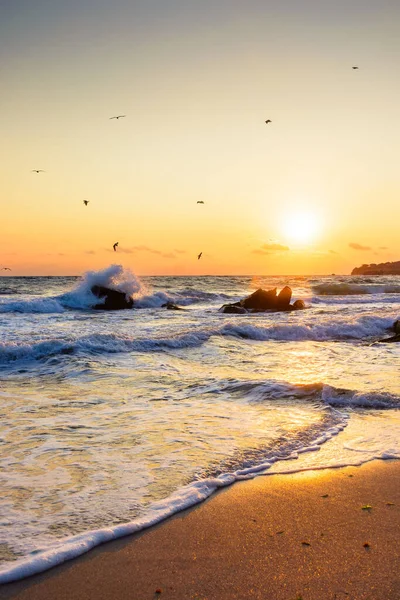 Sahilde gün doğumunda. Avrupa 'da yaz tatili için güzel bir manzara. Dalgaların üstündeki turuncu gökyüzündeki kuşlar. Kumlu deniz manzaralı. Su sıçraması