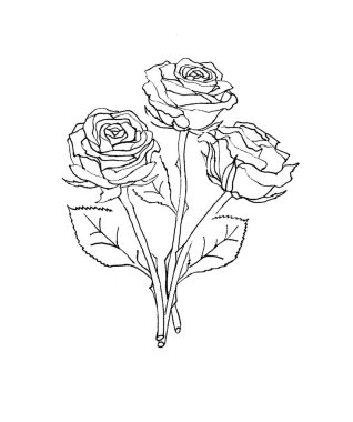 iç içe üç gül siyah ve beyaz doğrusal görüntü, resim renk içermez, gül doğal ve plastik