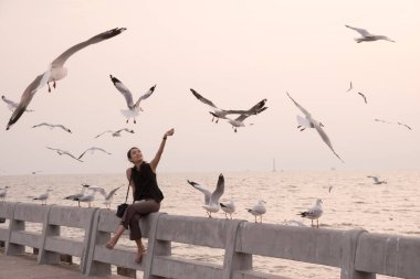 Samut Prakan, Tayland - 14 Kasım 2018: Genç kadın Bang Pu deniz, gün batımında kuşlar beslemeleri-birçok göçmen kuşların canlı bu nedenle orada olur turistik