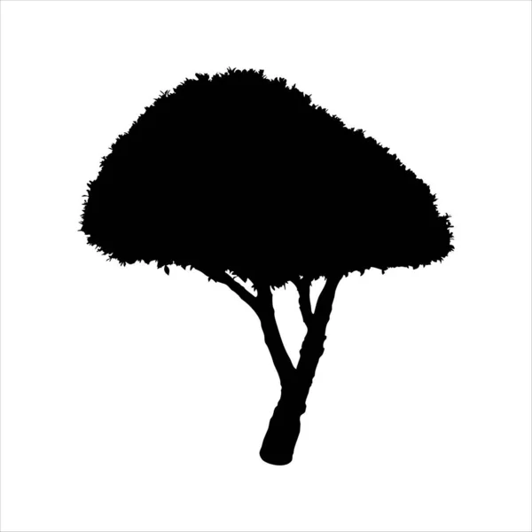 Силуэт Круглого Дерева Белом Фоне — стоковый вектор