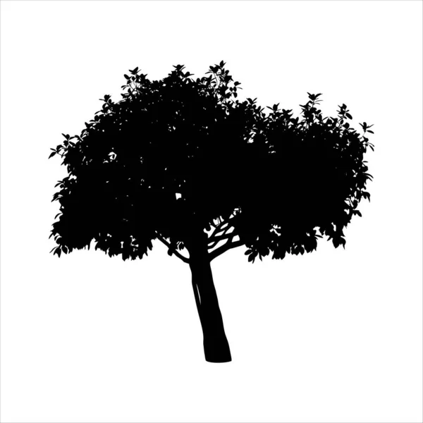 Silhouette Arbre Isolé Sur Fond Blanc — Image vectorielle