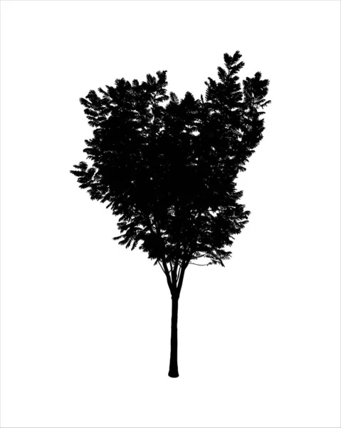 Silhouette Arbre Isolé Sur Fond Blanc — Image vectorielle