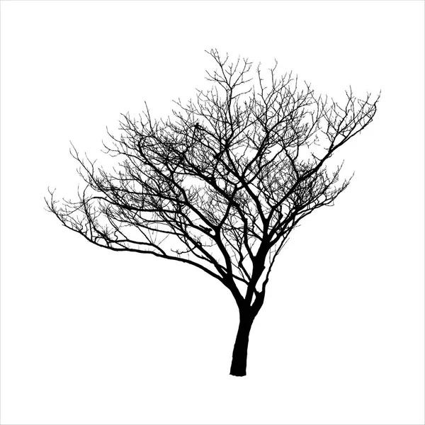 Bare Träd Siluett Isolerad Vit Bakgrund — Stock vektor