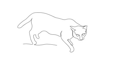 Kedi yerde yürüyor. sürekli çizgi çizimi