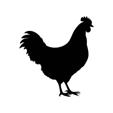 Beyaz arka planda dik duran gururlu bir horozun siyah silueti, tavuk silueti çizimi