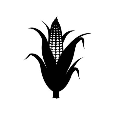 Çarpıcı bir mısır koçanı silueti, sonbahar hasadının sembolü, mısır sapı siluet çizimi