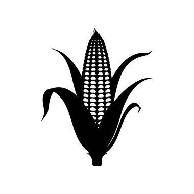 Olgun bir mısır koçanı, mısır sapı siluet vektör illüstrasyonunun minimalist siyah ve beyaz çizimi