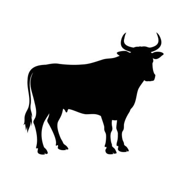 Görkemli bir boğanın Siyah Silueti Saf Beyaz Arkaplan 'a Karşı, Boğa Duruşu siluet çizimi