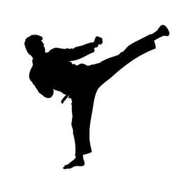 Bir dövüş sanatçısının silueti, güçlü bir yan tekme vuruşunu ustalıkla gerçekleştiriyor. Dövüş sanatları ustası yüksek tekme siluet çizimi yapıyor.