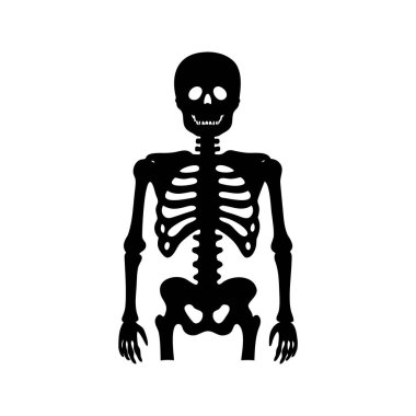 Cadılar Bayramı dekorasyonu için beyaz bir arkaplana karşı bir iskeletin silueti, x ışını görüntü silueti vektör çizimi