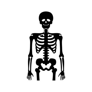 Ürkütücü İskelet Silueti Beyaz Arkaplan Karşısında Uzun Boylu, Cadılar Bayramı İçin Hazır, Xray görüntü silüeti vektör çizimi