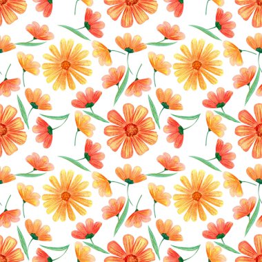 Calendula ve papatya çiçekli kusursuz suluboya deseni.