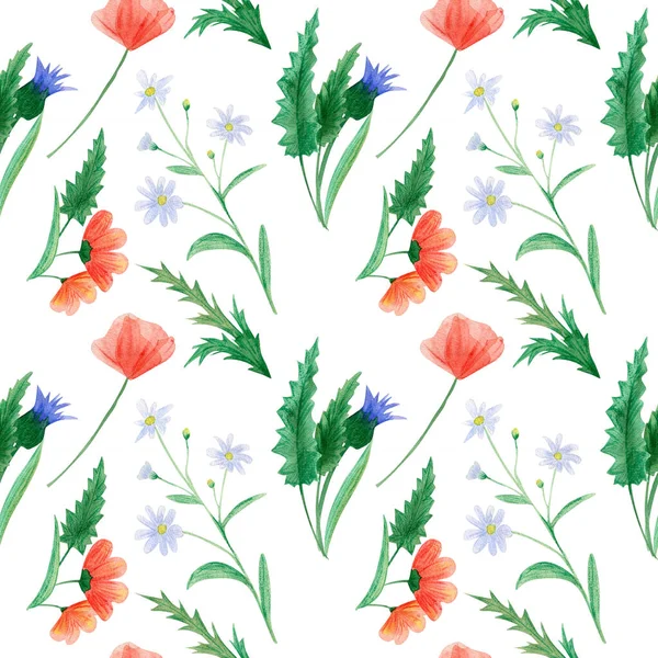 Motif Floral Aquarelle Sans Couture Avec Pavot Camomille Bleuet Pour — Photo