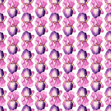 Kumaş ve dekor için süsen çiçekleri olan kusursuz suluboya desenler..