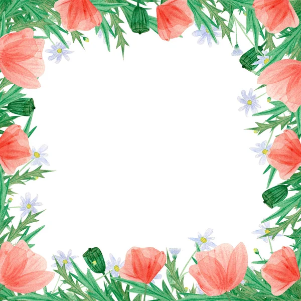 Aquarell Floraler Quadratischer Rahmen Mit Ringelblume Kamille Und Mohn Wildblumen — Stockfoto