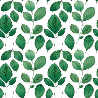 Kumaş ve dekor için gül yapraklı kusursuz suluboya deseni