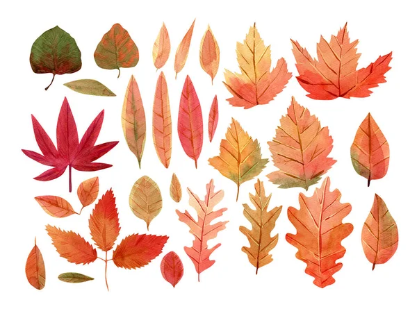 Dekor ve kumaş için beyaz zemin üzerine sonbahar sonbahar yaprakları çizilmiş suluboya el