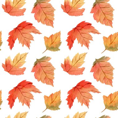 Kumaş, dekor ve şablon tasarımı için akçaağaç yapraklı kusursuz suluboya deseni