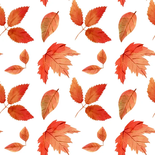 Seamless watercolor pattern with red, yellow, orange fall leaves for fabric, decor, template