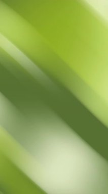 Yeşil sarı çizgili dikey arkaplan düzgün çapraz eğimli