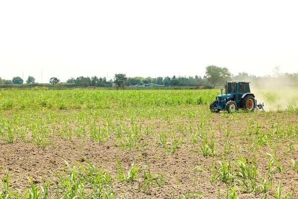 Traktor szántás por mögött cukornád mező — Stock Fotó