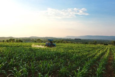 Çiftçi hazırlanması ve sahada pestisit püskürtme.
