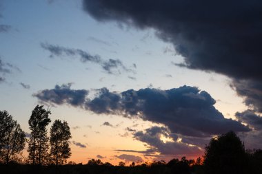 Gün batımında bulutlarla gökyüzü. Ağaçların siluetleri