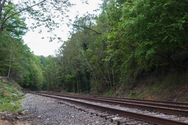 Eski bir tren, yaz yatay