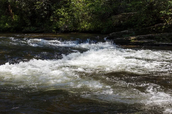 Fiume Montagna Tempestoso Nella Foresta Una Giornata Sole Estivo — Foto Stock