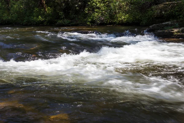 Fiume Montagna Tempestoso Nella Foresta Una Giornata Sole Estivo — Foto Stock