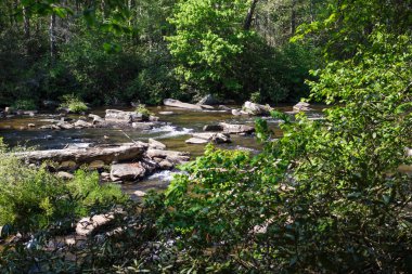 Taşlar ve günlükleri ormandaki nehir dağ. Dupont devlet eğlence orman, Nc, ABD