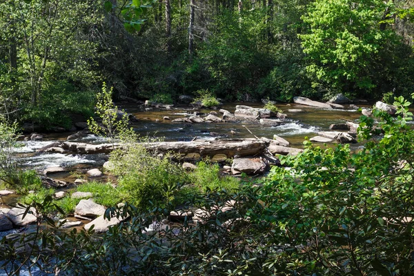 Fiume Montagna Con Pietre Tronchi Nella Foresta Dupont State Recreational — Foto Stock